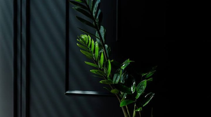 Jewel Restoran & Bar